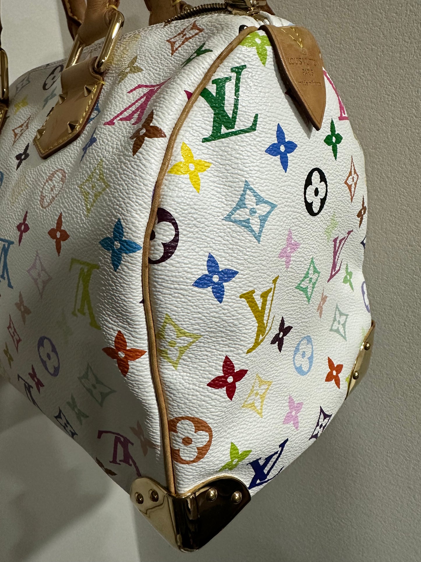 Louis Vuitton Murakami speedy30 multi color