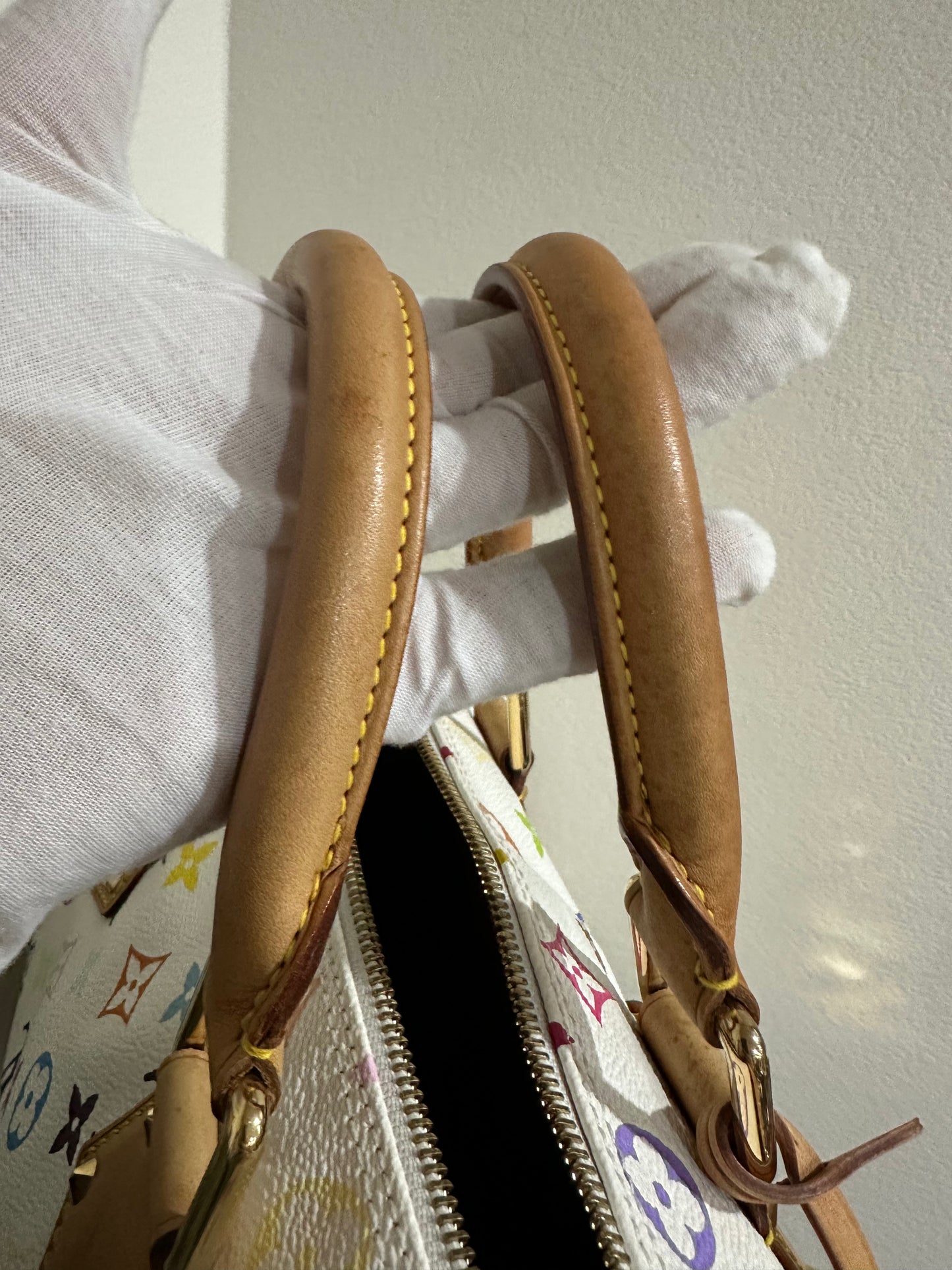 Louis Vuitton Murakami speedy30 multi color