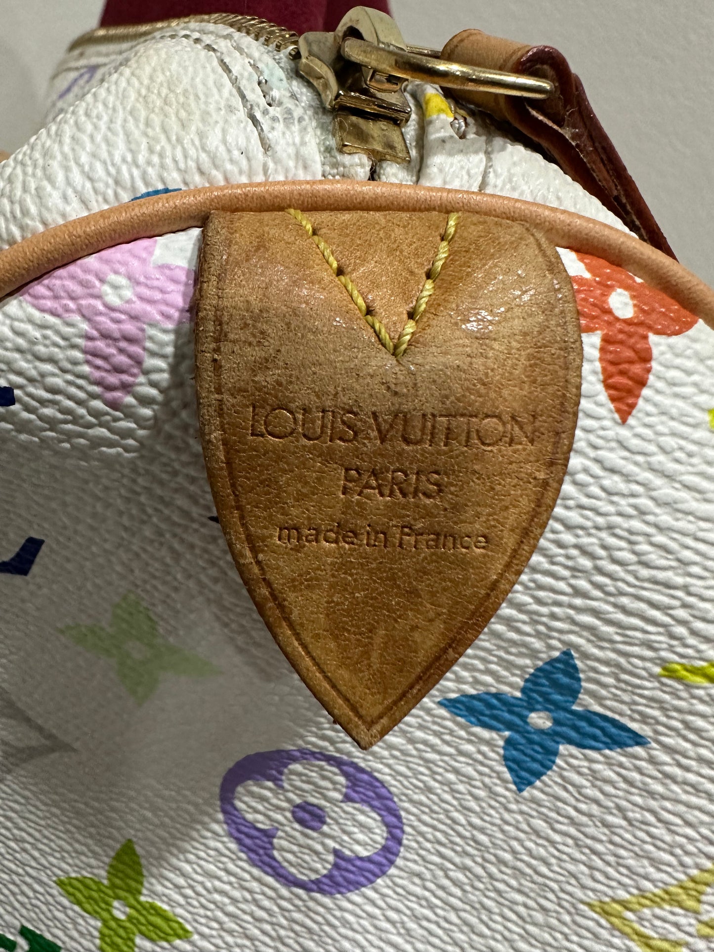 Louis Vuitton speedy 30 Murakami multicolor